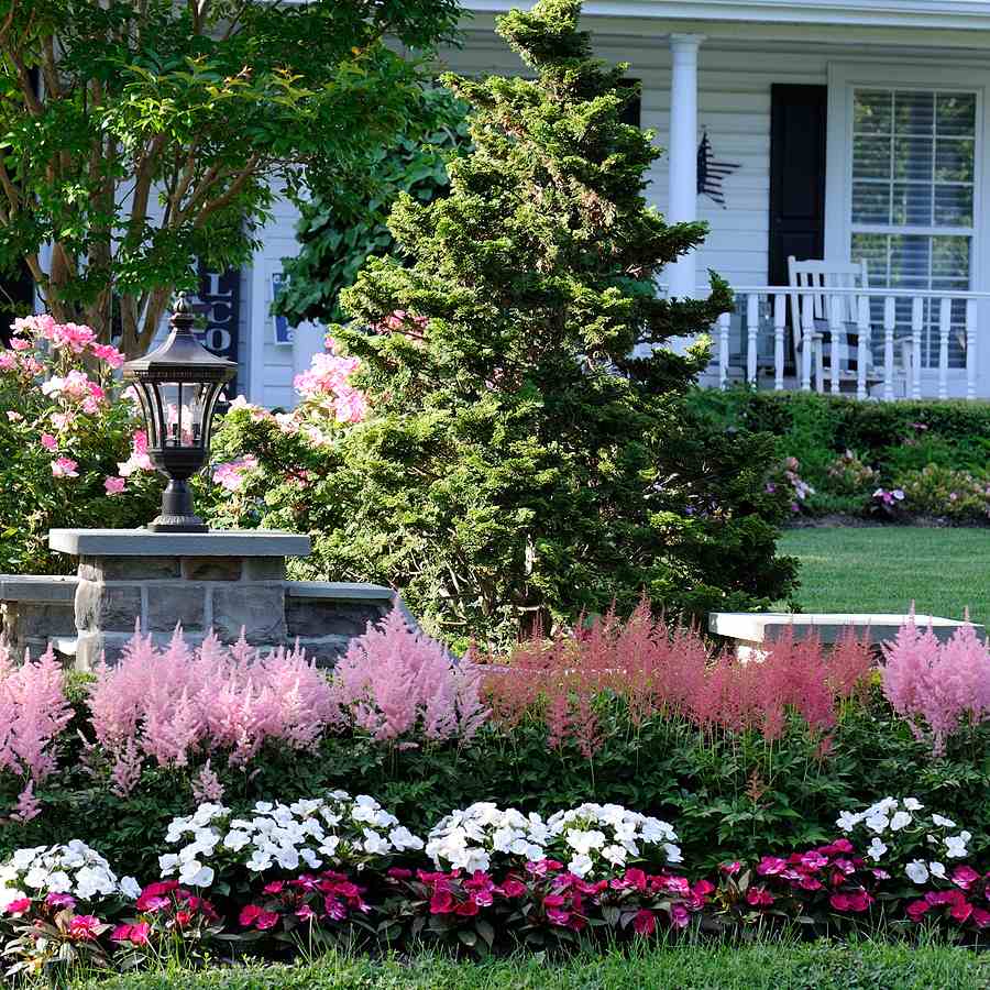 flowers and trees in home front yard