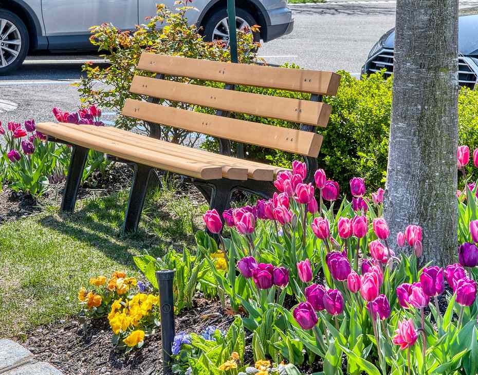community bench surrounded in flowers